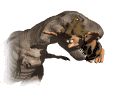 ;drako